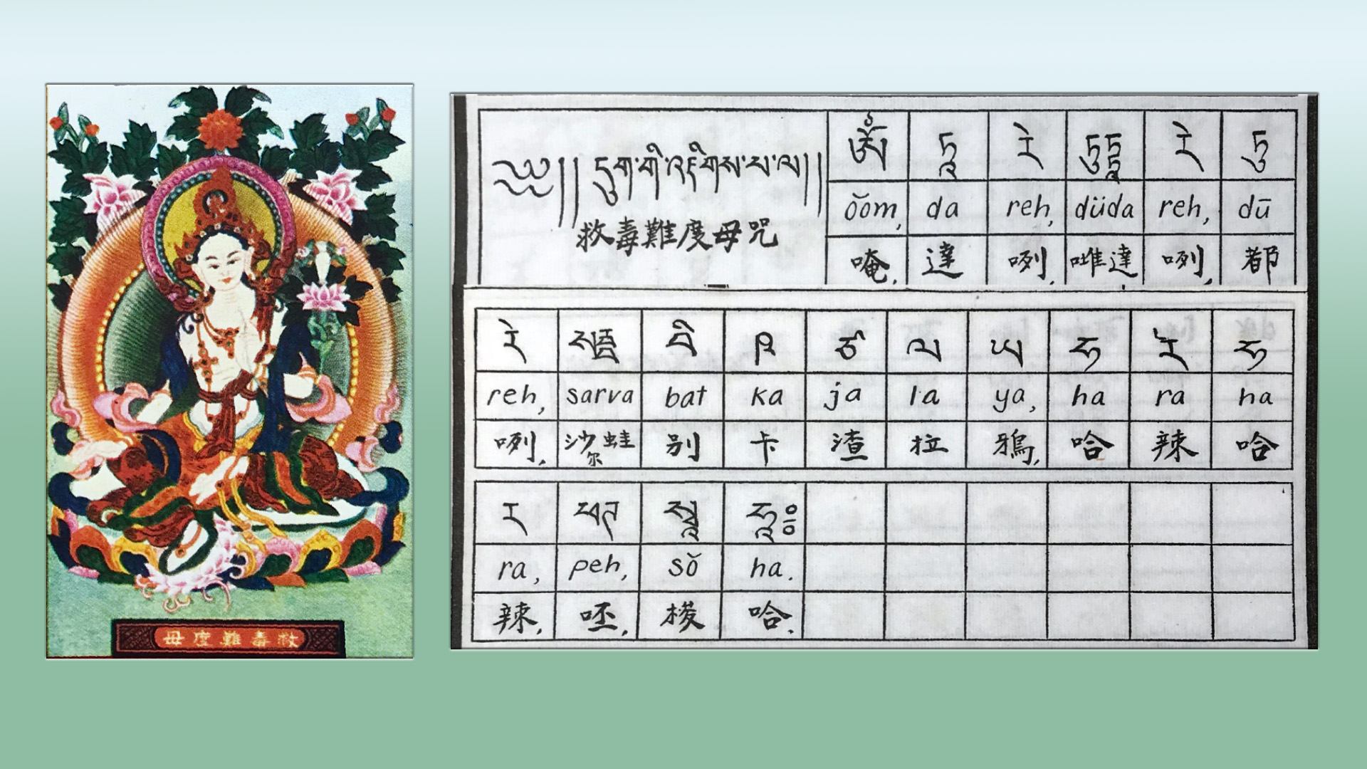 諾那祖師普傳的「救毒難度母咒」-黃念祖